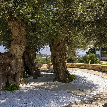 Olivenest Chania Executive Villa Villa *